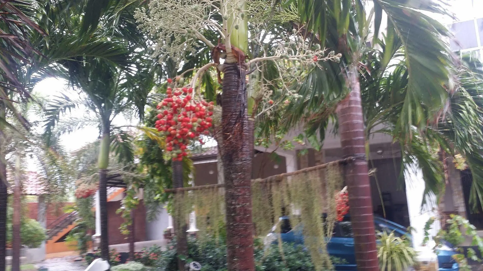 Maple Leaf Hotel Negombo